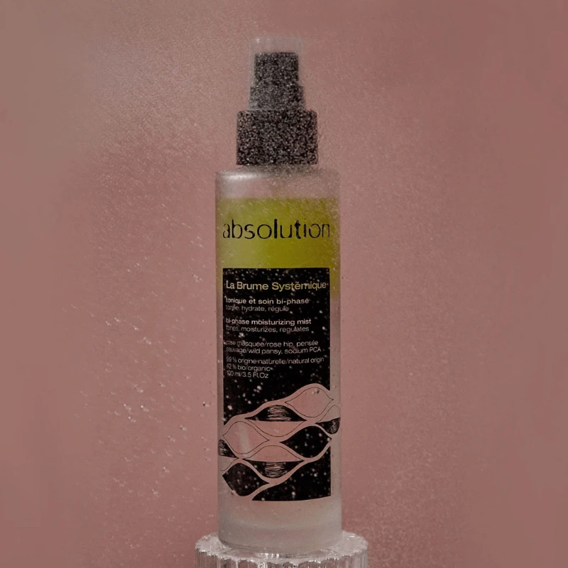 La Brume Systémique 8 La Brume Systémique – Image 6