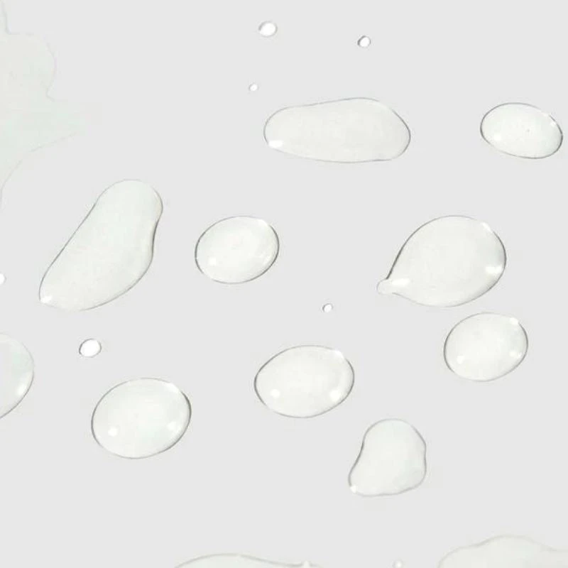 Century Flower - Brume Bouclier Protecteur 4 Century Flower - Brume Bouclier Protecteur – Image 2